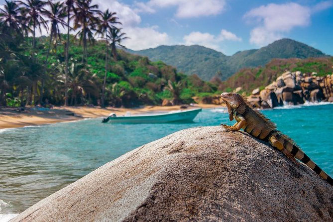 Lost City Trek [Ciudad Perdida Tour] From Santa Marta & Taganga - Exploring the Mysterious Ciudad Perdida