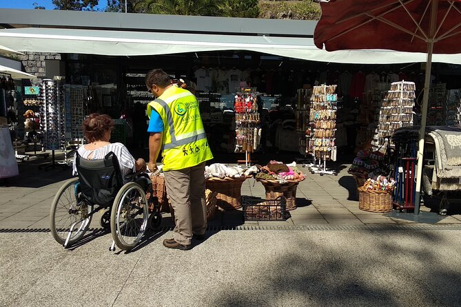 Low Cost Wheelchair Handicap Half Day Tour, Fully Accessible Tour - Booking Information