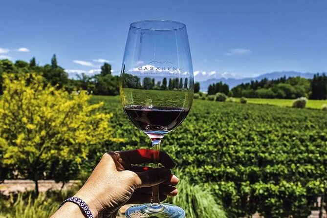 Lujan De Cuyo Wine Tour - Pricing and Availability