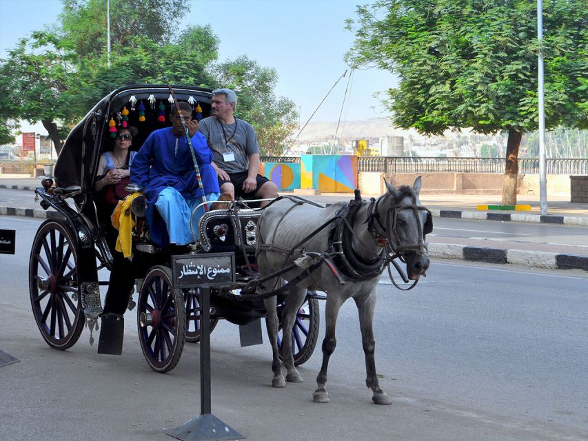 Luxor : Luxor City Tour By Horse Carriage Private Tour - Inclusions and Amenities