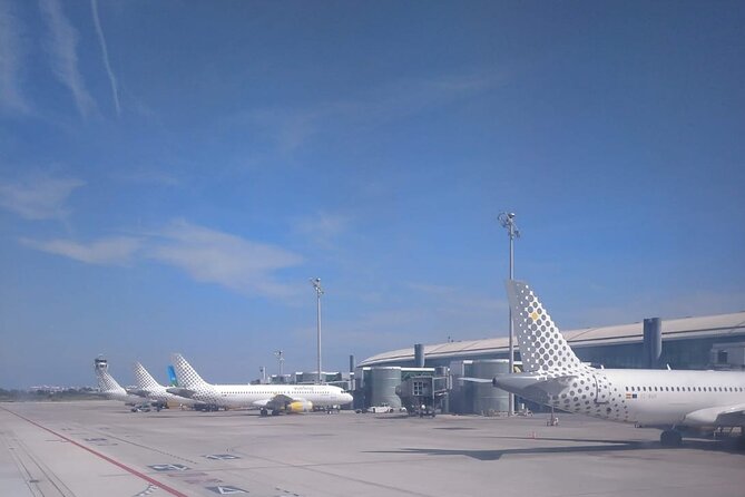 Luxor Private Transfer Hotel to Airport or Vice Versa - Why Choose Luxor Transfers