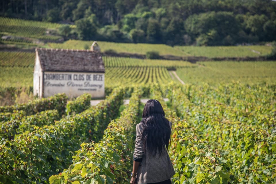 Luxury Burgundy Private Wine Tour - Luxury Transportation