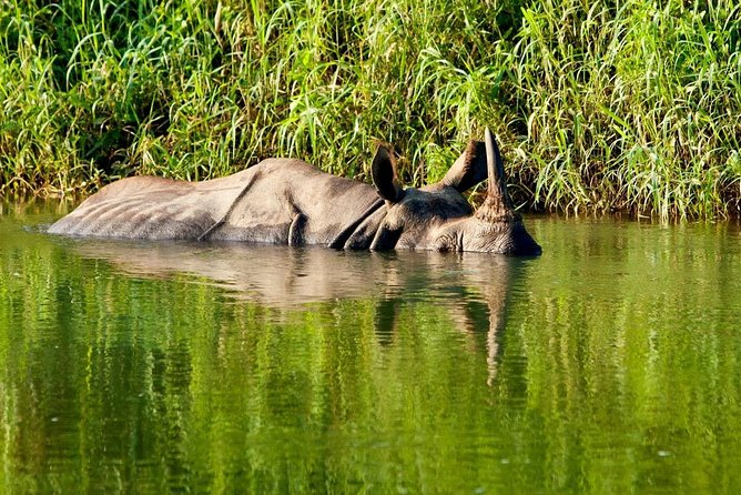 Luxury Chitwan Tour Package 2 Nights 3 Days From Kathmandu - Exclusions and Additional Costs