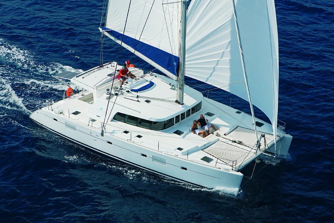 Luxury Hawaiian Sea Turtle, Dolphin Sail and Kona Snorkel - Wildlife Viewing Opportunities