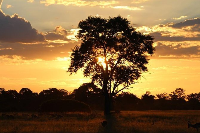 Luxury Okavango Safari - 3 Day - Wildlife Sightings
