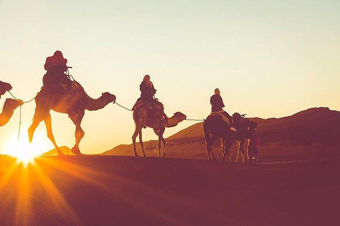 Luxury Overnight Sahara Desert Trip Fez Back to Fez or Marrakech - Day 2 Activities