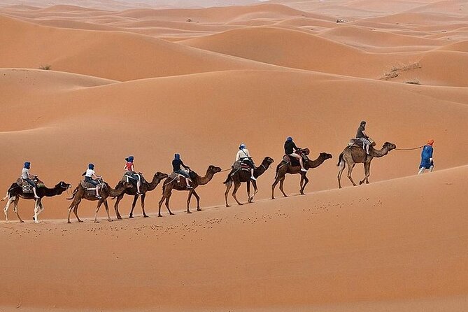 Luxury Sahara Desert From Fez Back to Fez or Marrakech Overnight - Traveler Reviews