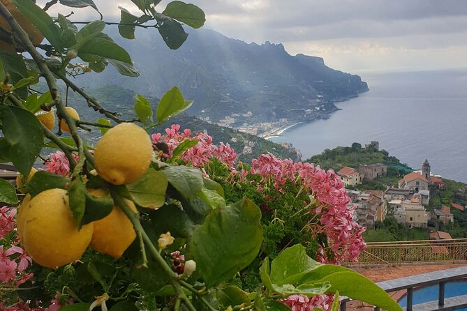 Luxury Tour From Positano to Pompei Ravello Amalfi - Pompeii Archaeological Park
