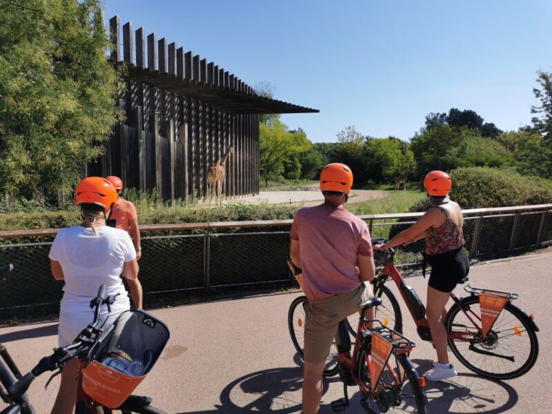 Lyon: 2-Hour Electric Bike Tour With a Local Guide - Tour Experience