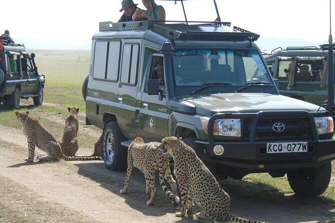 Maasai Mara 3 Day Guided Tour - Itinerary and Activities