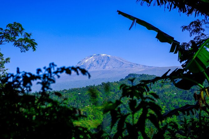 Maasai Village Visit, Materuni Waterfalls & Coffee Experience - Hiking Materuni Waterfalls