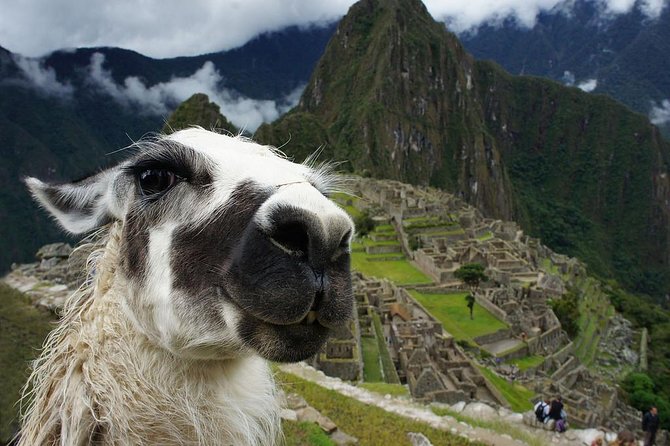 Machu Picchu Entry Tickets - Ticket Delivery and Pickup