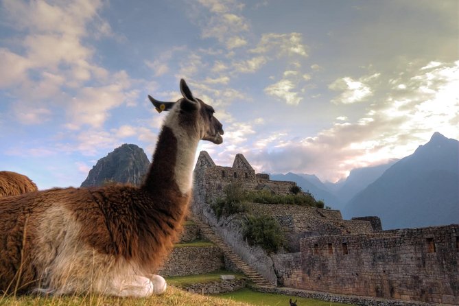 Machu Picchu Full Day - Customer Reviews and Feedback