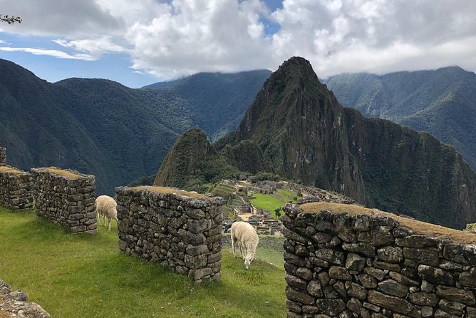 Machu Picchu Private Guide Service From Aguas Calientes - Accessibility and Fitness Level