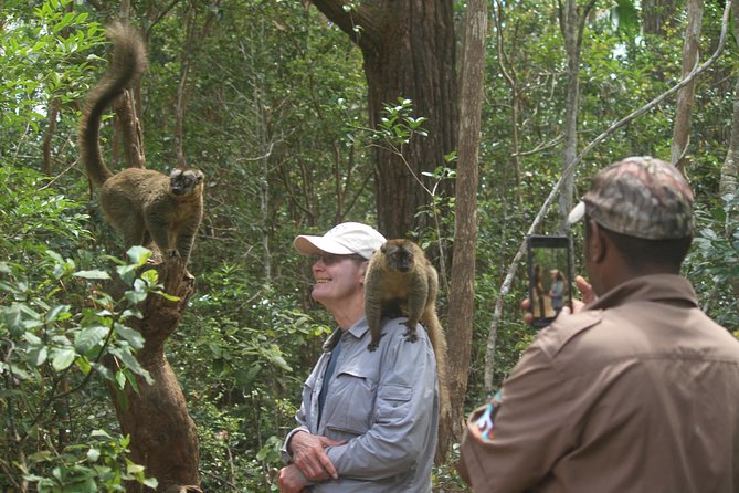 Madagascar Wildlife Tour for 02 Days - Itinerary Highlights