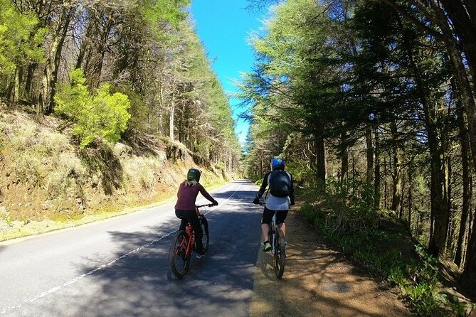 Madeira Island Guided Mountain Biking Adventure - Meeting Point and Pickup