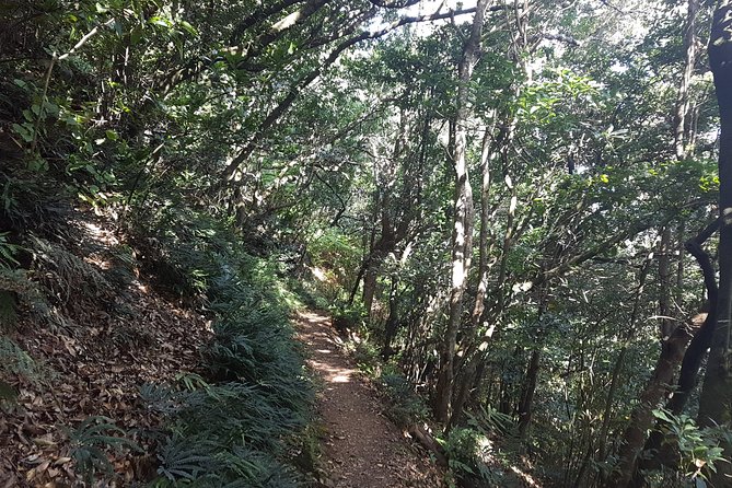 Madeira: Vereda Das Funduras Private Walking Tour PR5 - Preparation and Expectations