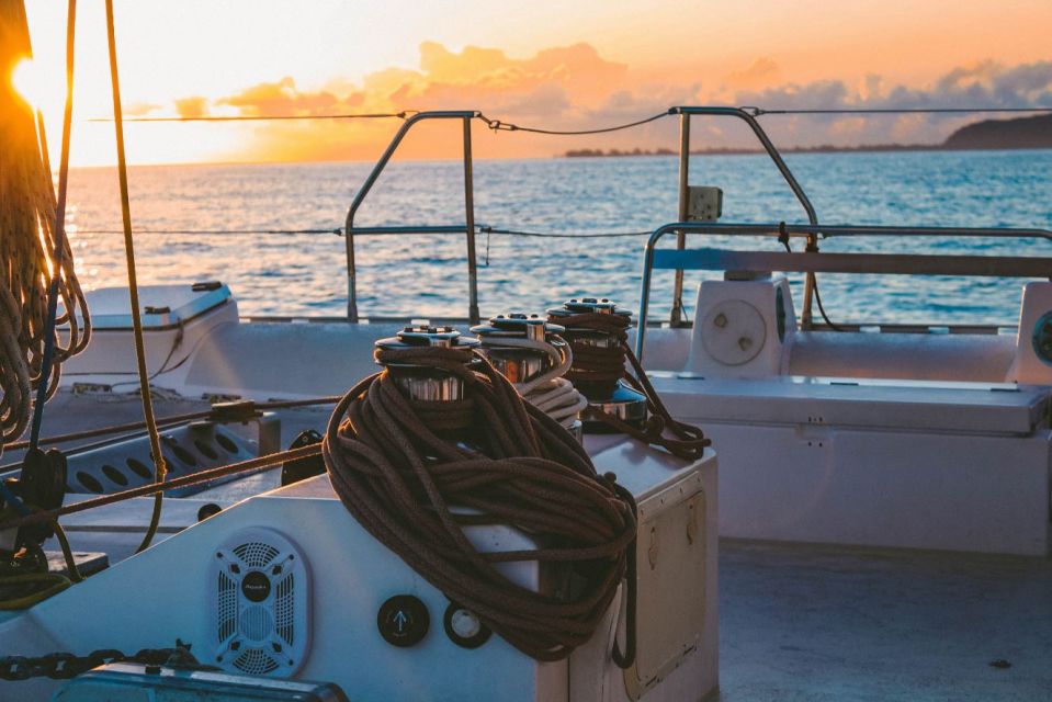 Malaga: A Sea of Stars Nighttime Stargazing Catamaran Tour - Whats Included