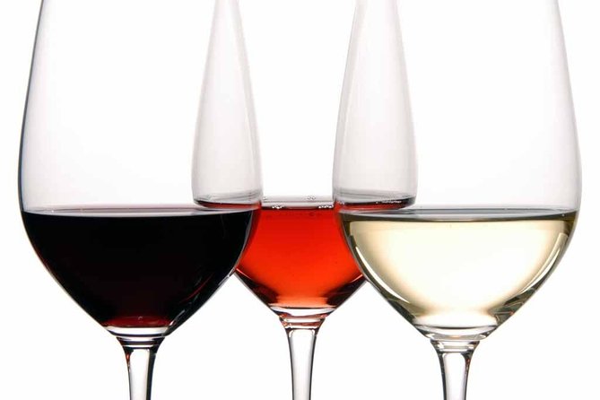 Malaga Gastronomy Tour Wines and Spanish Tapas Review - Addressing Concerns and Improvements