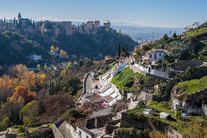 Malaga to Granada Trip With Alhambra Tickets Included - Alhambra Access Details