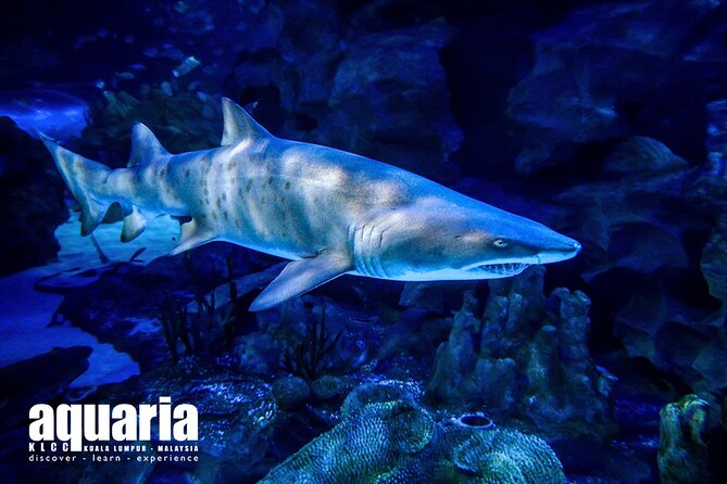 Malaysia: Aquaria KLCC Entry Ticket - Duration of Visit