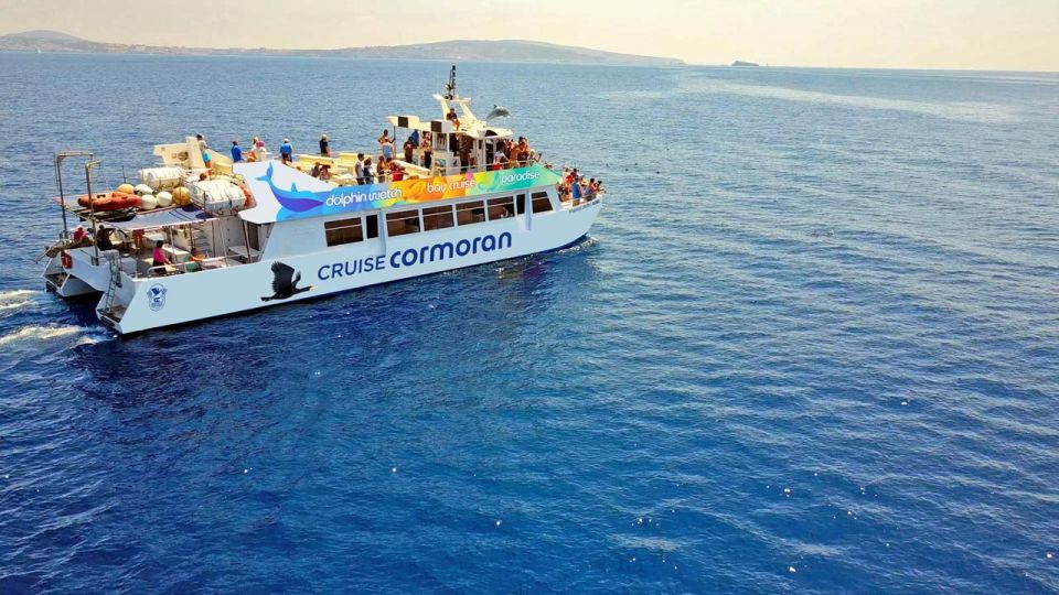 Mallorca: 2-Hour Dolphin Watching Cruise & Glass-Bottom Boat - Cruise Experience Highlights