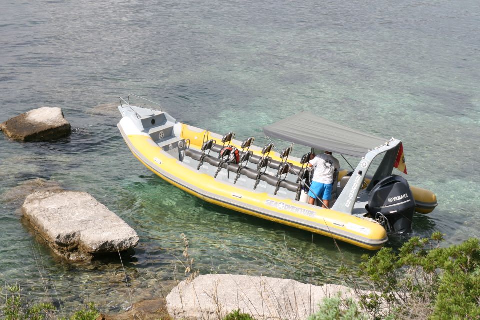 Mallorca : Speedboat, Snorkelling and Swimming Adventure - Inclusions and Requirements