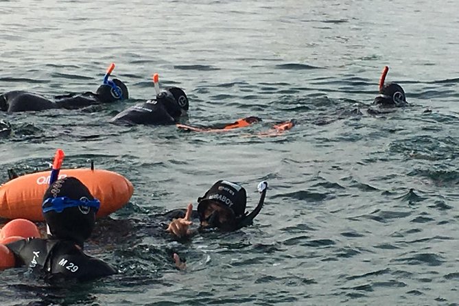 Malta Sunset Snorkeling - Inclusions and Accessibility
