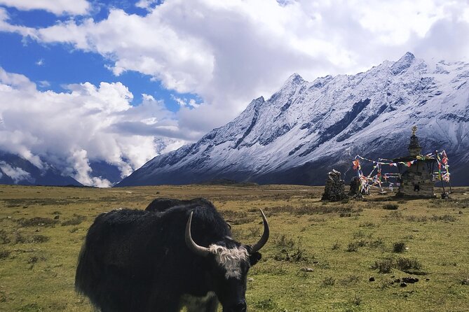 Manaslu Circuit Trek - Cultural Insights