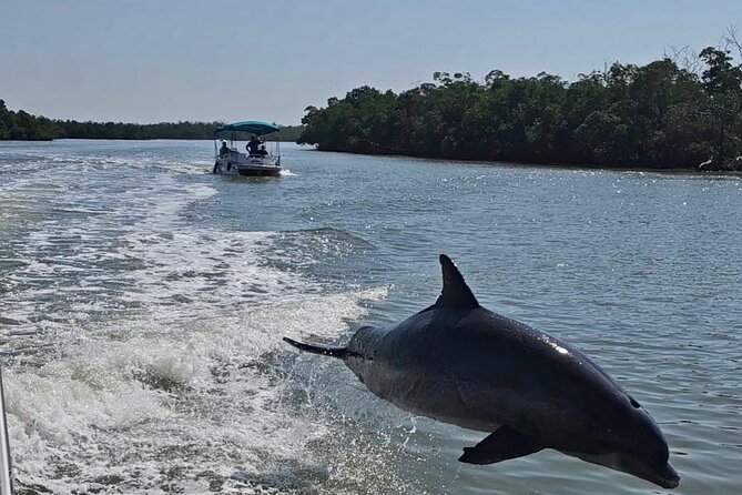 Manatee, Dolphin and 10,000 Islands Sunset Cruise! - An Intimate Group Experience