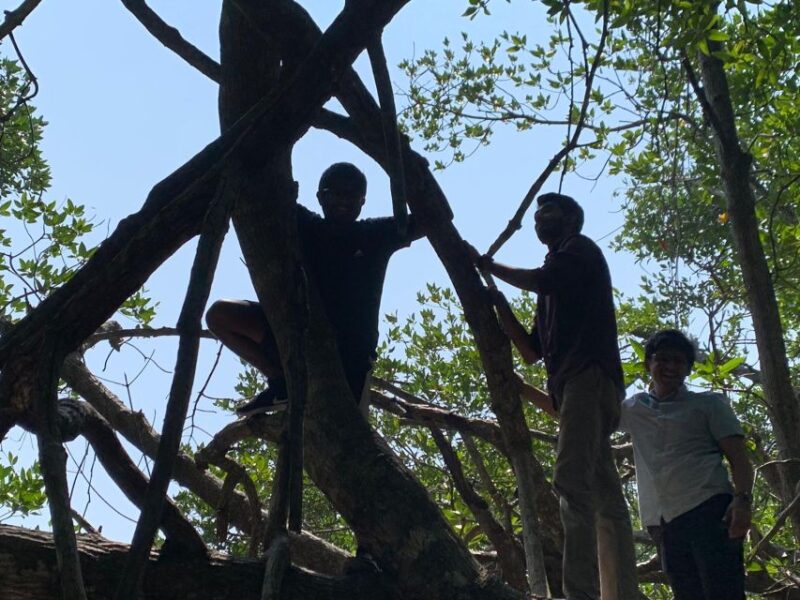 Mangrove Adventure in Bentota - Experience Highlights