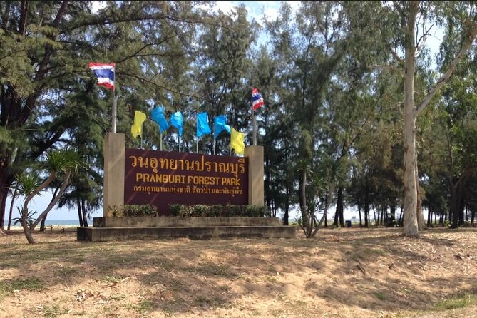 Mangrove Forest Hike and River Boat Ride With Private Guide From Hua Hin - Customer Experiences