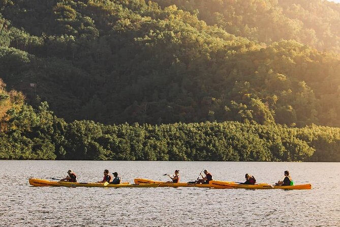 Mangrove Kayaking Experience in Borneo - Best Time to Visit