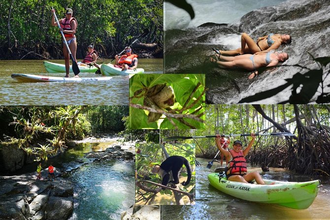 Mangrove Kayaking (Or Boat) Adventure - Tour Details