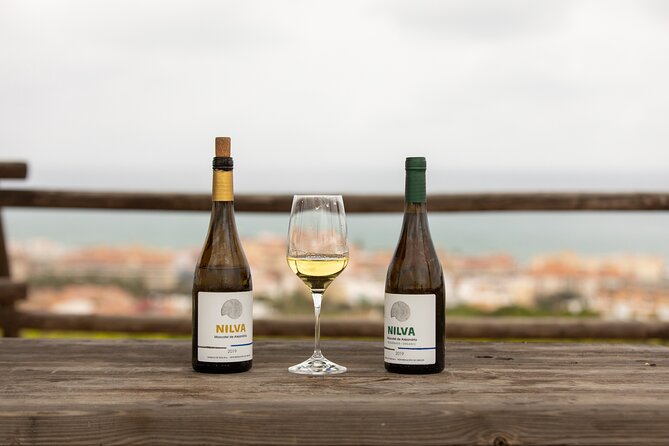 Manilva Oceanfront Wine Experience in the Marbella Area - Scenic Views and Tasting