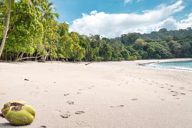 Manuel Antonio National Park - Customer Reviews and Experiences