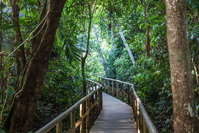 Manuel Antonio National Park Full Day Tour From San José - Pickup and Journey