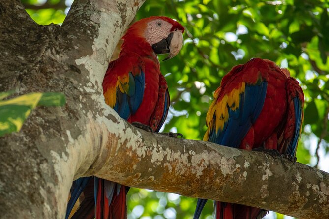 Manuel Antonio National Park (Transportation) - Customer Experiences and Ratings