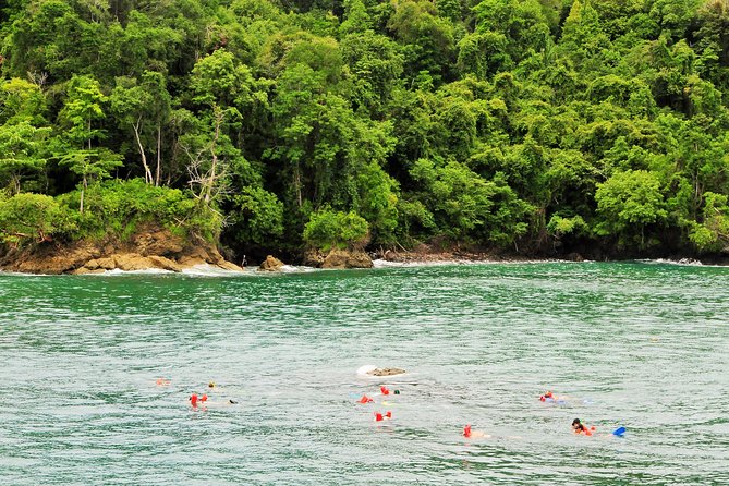 Manuel Antonio Sea Kayak and Snorkeling Adventure - Feedback and Concerns