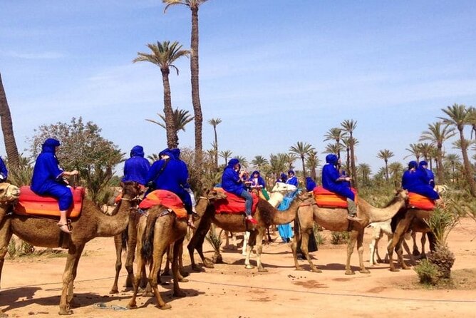 Marrakech Desert Camel Ride - Guided Tour Through the Desert