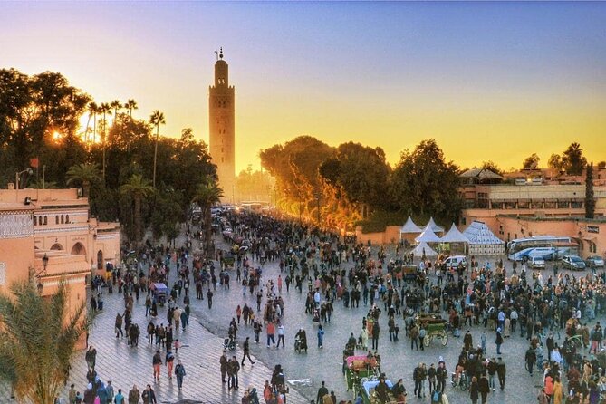 Marrakech Full-Day Guided City & Gardens Tour - Positive Aspects of the Tour
