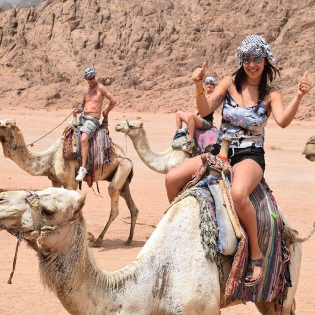 Marsa Alam: Desert Stargazing Tour With Camel Ride & Dinner - Highlights and Activities