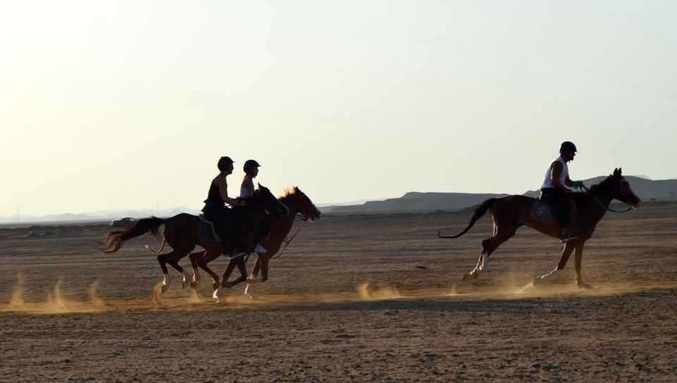 Marsa Alam: Sea and Desert Horse Riding Tour - Tour Itinerary