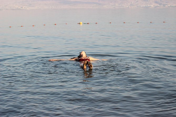 Masada, Ein Gedi, and the Dead Sea From Tel Aviv - Transportation and Comfort