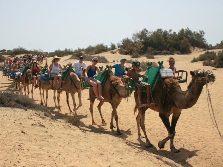 Maspalomas: Guided Camel Ride in the Maspalomas Sand Dunes - Ride Experience