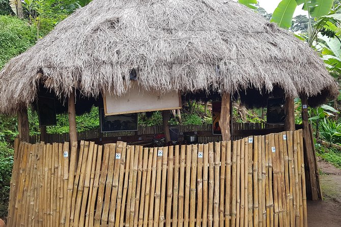 Materuni Waterfall and Coffee Tour, Tanzania - Traveler Reviews and Experiences