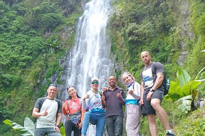 Materuni Waterfall, Coffee Tour and Picnic Hot Lunch - Picnic Hot Lunch Details