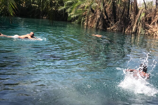 Materuni Waterfall - Coffee Tour or Chemka Hot Spring Tour - Tour Inclusions and Benefits