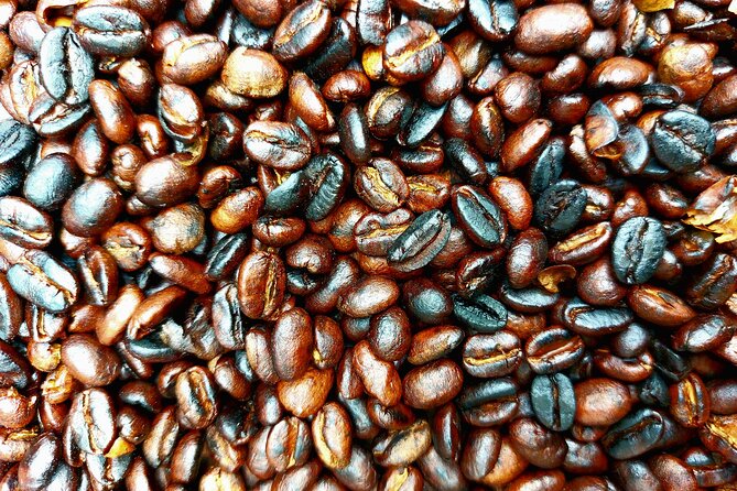 Materuni Waterfalls and Coffee Tour in Moshi - Pickup Information and Logistics