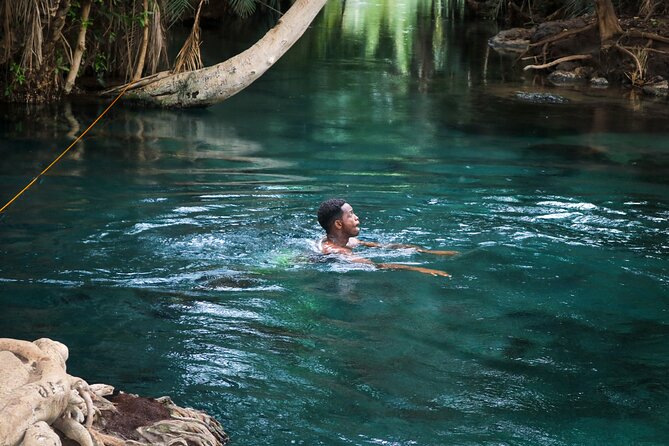 MATERUNI Waterfalls, Coffe Tour & Kikuletwa Hotsprings - Coffee Processing Journey